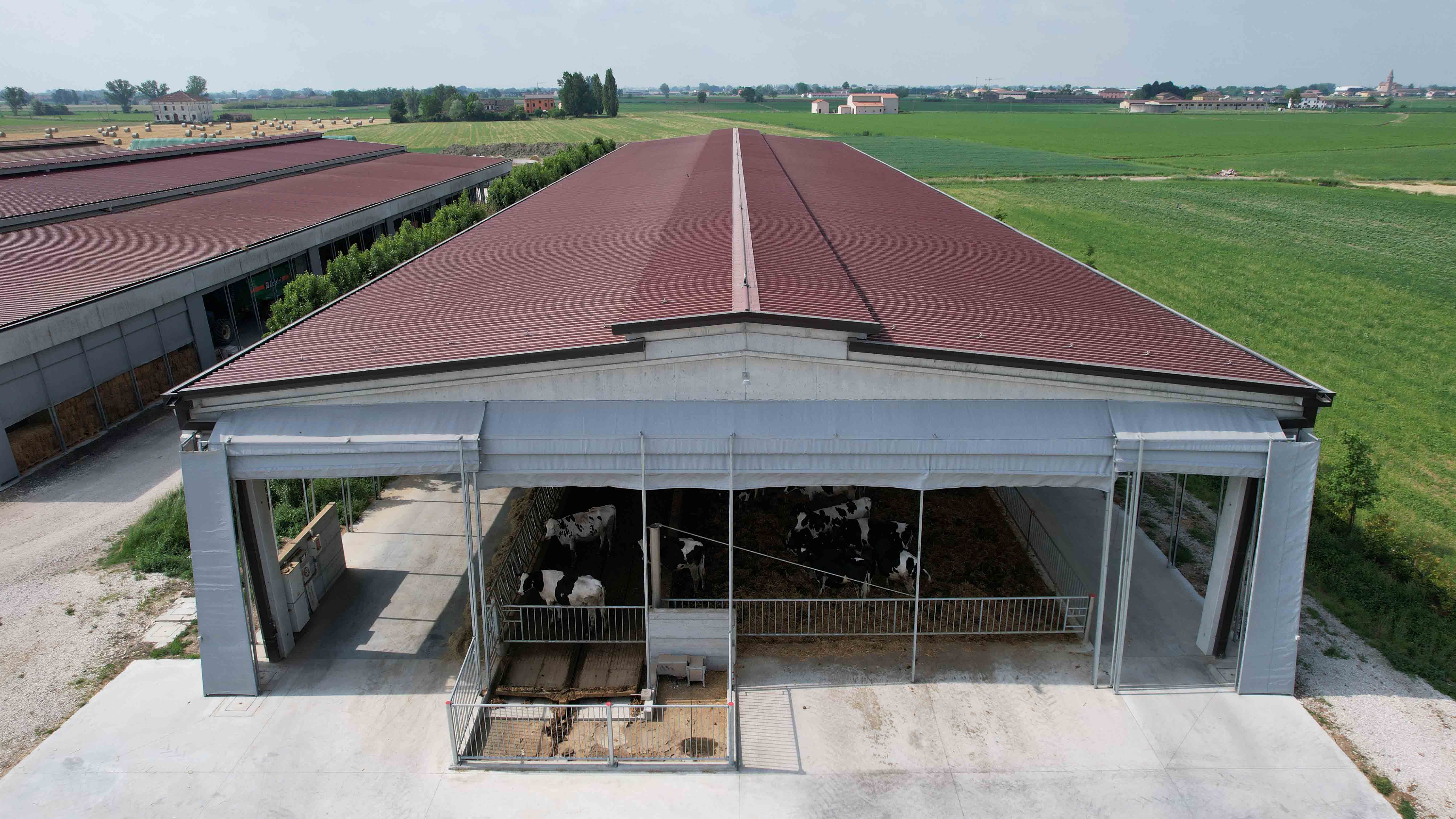 Realizzazione stalla in cemento per azienda agricola Mantova