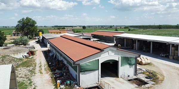 Progettazione prefabbricato agricolo cemento ad uso stalla Cremona