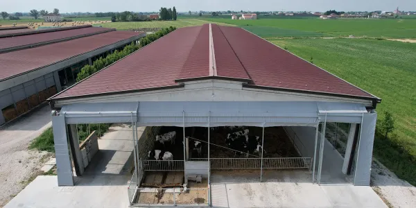 Realizzazione stalla in cemento per azienda agricola Mantova